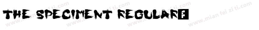 The Speciment Regular字体转换